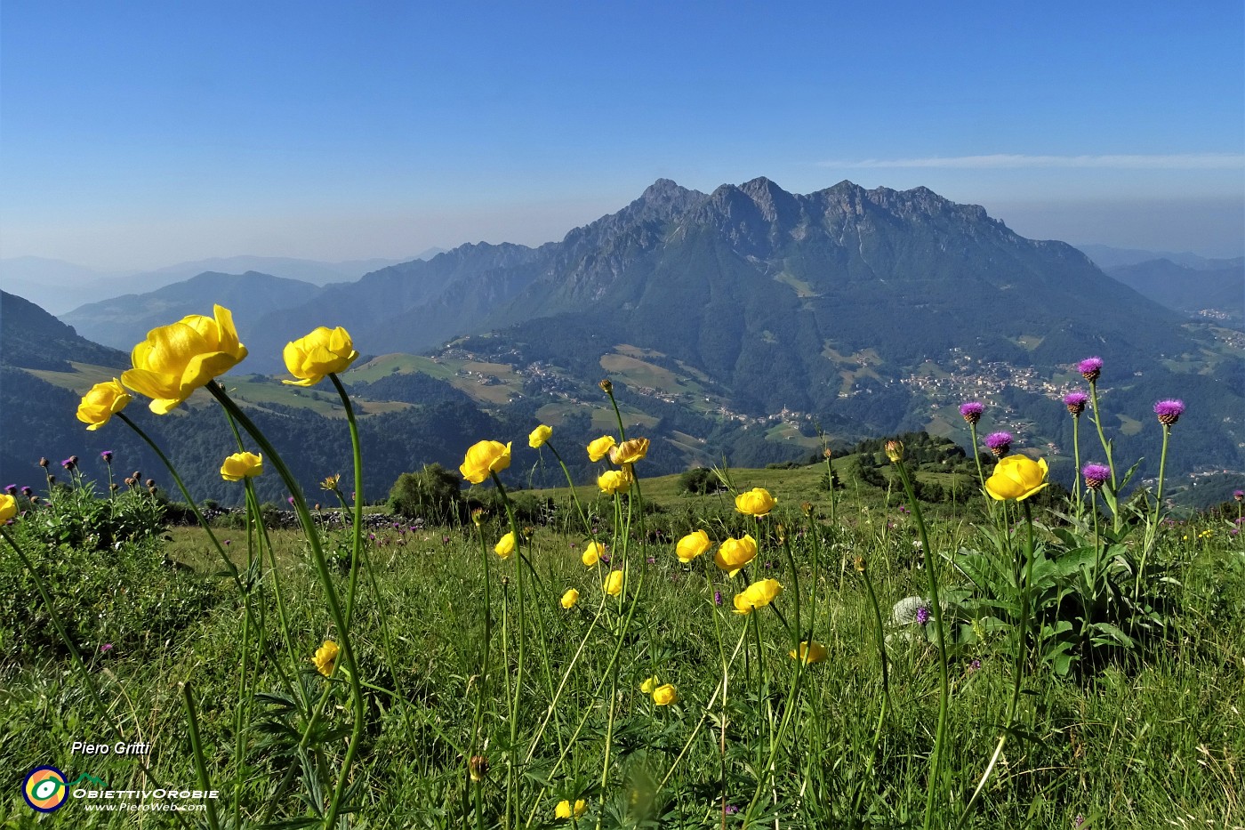 17 Botton d'oro (Trollius europaeus) con vista in Alben.JPG -                                